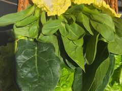 -京悦南门涮羊肉·羊蝎子火锅(田林路店)