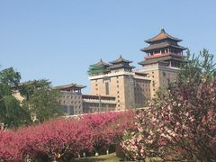 -莲花池公园