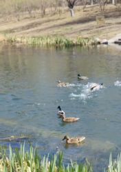 -大望京儿童游乐场