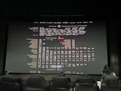 -天幕新彩云国际影城(激光巨幕店)