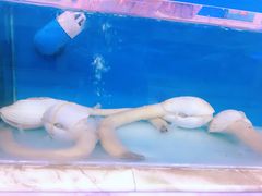-青石桥市场北1-27号