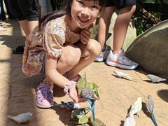 -北戴河集发农业梦想王国