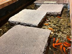 -邈墨茶馆(凤起路店)