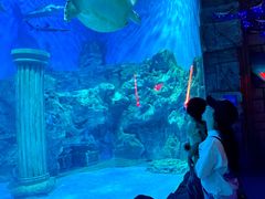 -芜湖新华联大白鲸海洋公园