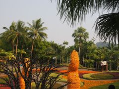 -东芭乐园