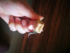 -苏小糖(鼓浪屿三丘田花园店)