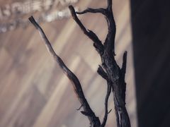 -盛邦家居建材广场