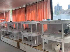 -翊宠yipet猫狗购宠庄园