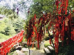 -苍山感通索道