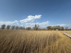 -野鸭湖国家湿地公园
