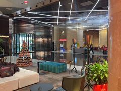 -南京禄口机场雅高铂尔曼大酒店