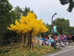 -洋湖国家湿地公园