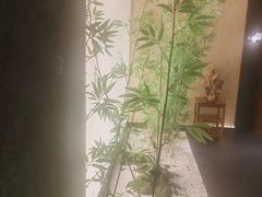 -新紫霞养生·影院足道·SPA(金山区店)