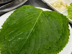 -松明一烤肉馆(鲁园店)