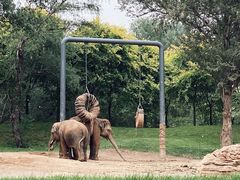 -北京野生动物园