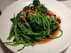 芥兰苗-佬肥猫(国华广场店)