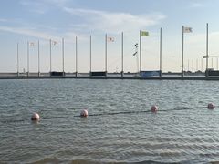 -碧海金沙