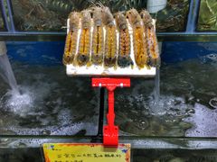 -蚝专家(北滘店)