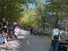-长白岛森林公园