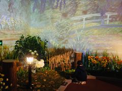 -印象莫奈时光映迹艺术展