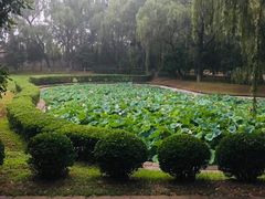 -槐房钓鱼公园
