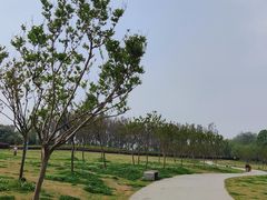 -两河城市森林公园