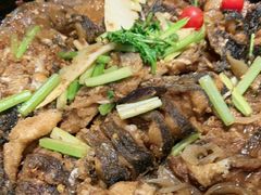 -老板恋上鱼(恒隆广场店)