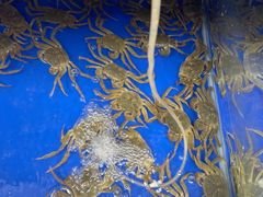 -阳澄湖大闸蟹·琼灵阁牌品牌连锁(吴中总店)