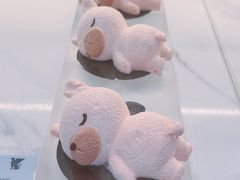 -东方美谷JW万豪酒店·The lounge大堂吧
