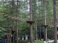 -关门山森林公园