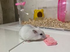 -三旗百汇商品城