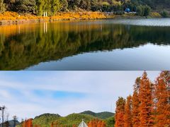 -广州市石门国家森林公园