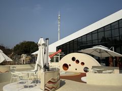 -同里国家湿地公园