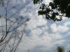 -美人谷景区