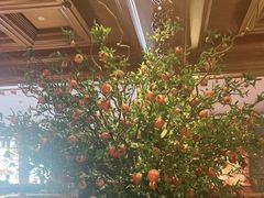 -八府香鸭·啫啫煲(华山路店)