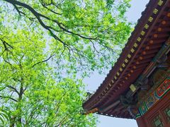 -华清宫景区