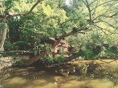 -江心屿景区