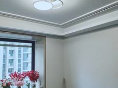 -欧普照明(红星美凯龙浦江店)
