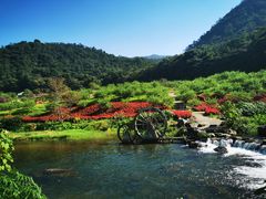 -广州市石门国家森林公园