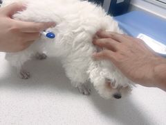 -宠颐生动物医院·心脏科·保险定点(锦阳分院)