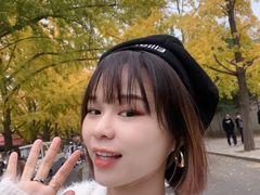 -三里屯东五街银杏大道