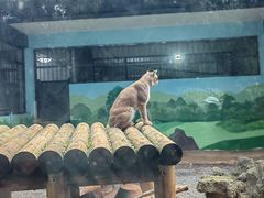 -昆明动物园