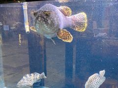 -珍记海鲜酒家(嵩山路店)