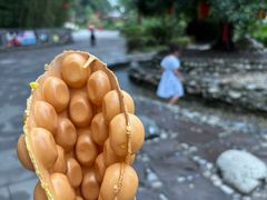 -成都欢乐谷