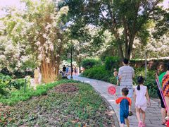-成都市活水公园