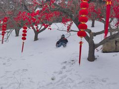 -威海华夏城景区