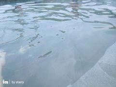 -天目湖御水温泉·度假酒店