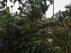 -海口喜来登酒店