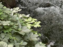 -水磨沟公园