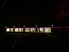 -枫花园汽车电影院(朝阳公园店)